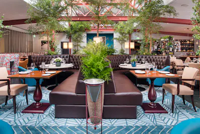 Christmas at Bluebird