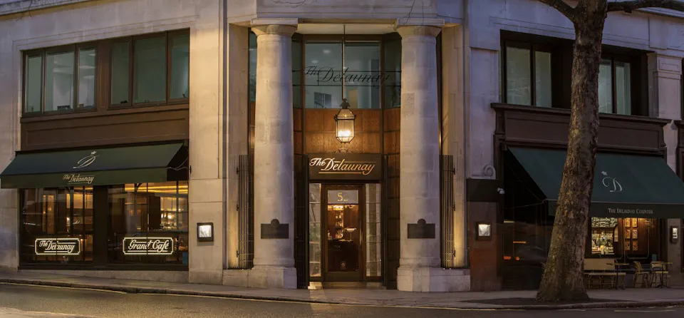 The Delaunay