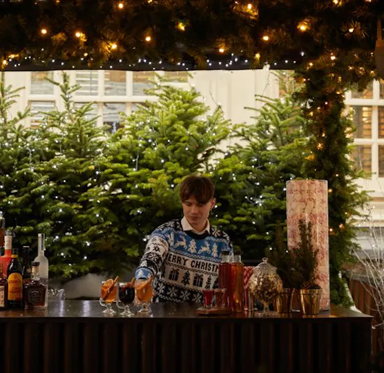 The Ski Lodge at the Montague on the Gardens