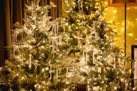 Park Plaza Riverbank