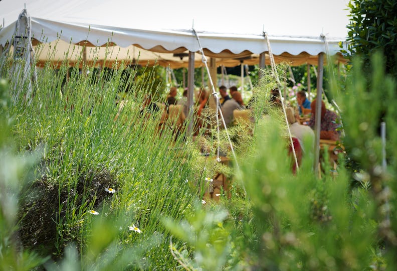 Pythouse Kitchen Garden