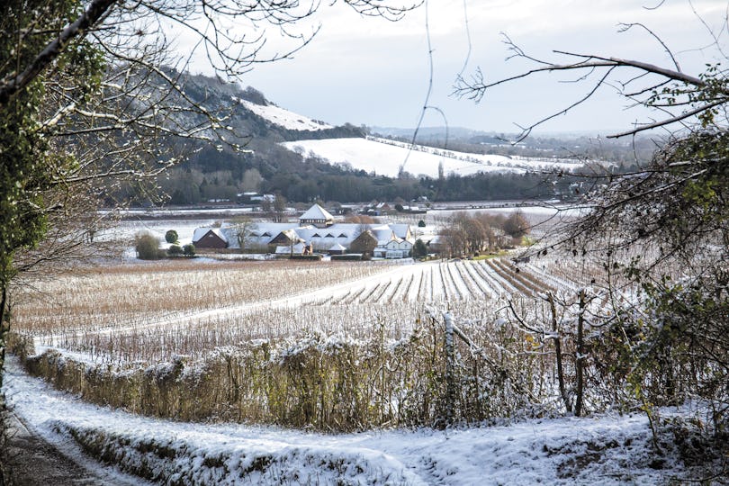 Denbies Wine Estate