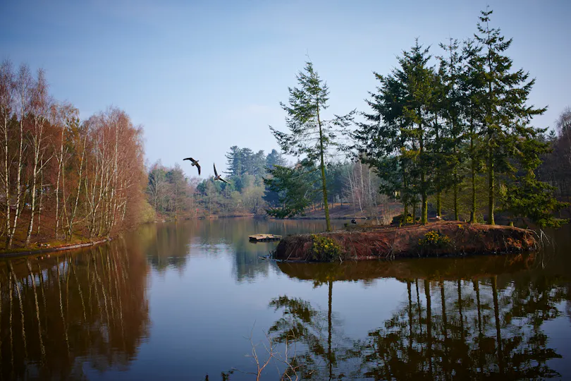 Center Parcs Sherwood Forest