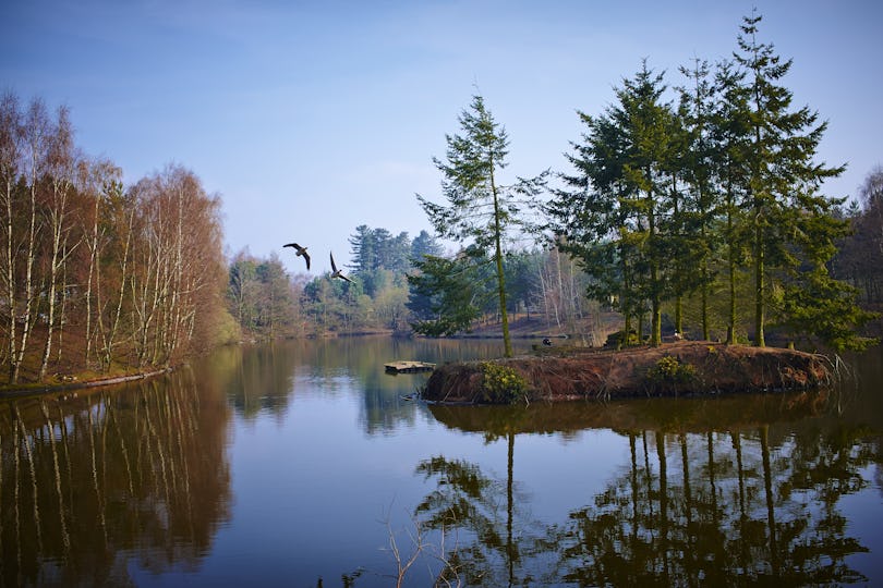 Center Parcs Sherwood Forest