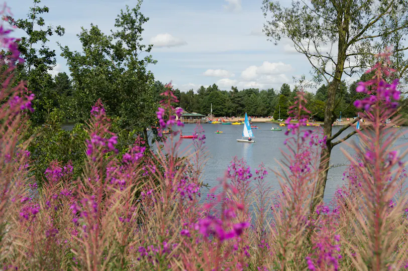 Center Parcs Sherwood Forest