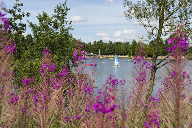 Center Parcs Sherwood Forest