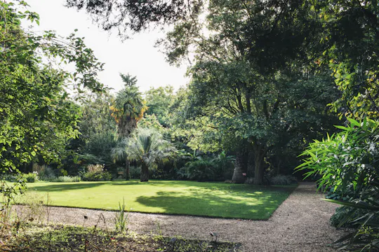 Chelsea Physic Garden