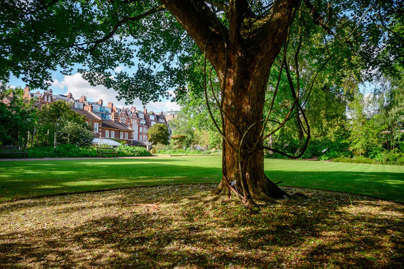 Chelsea Physic Garden