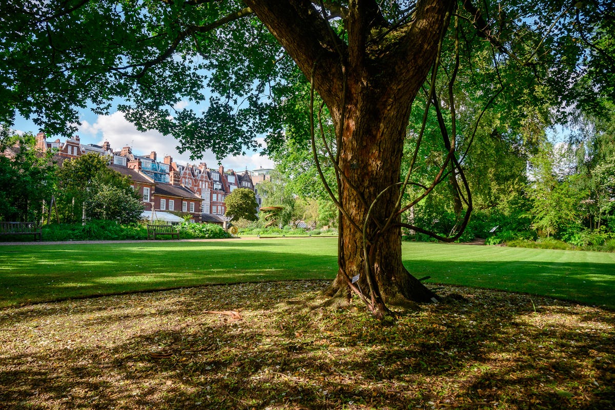 Chelsea Physic Garden
