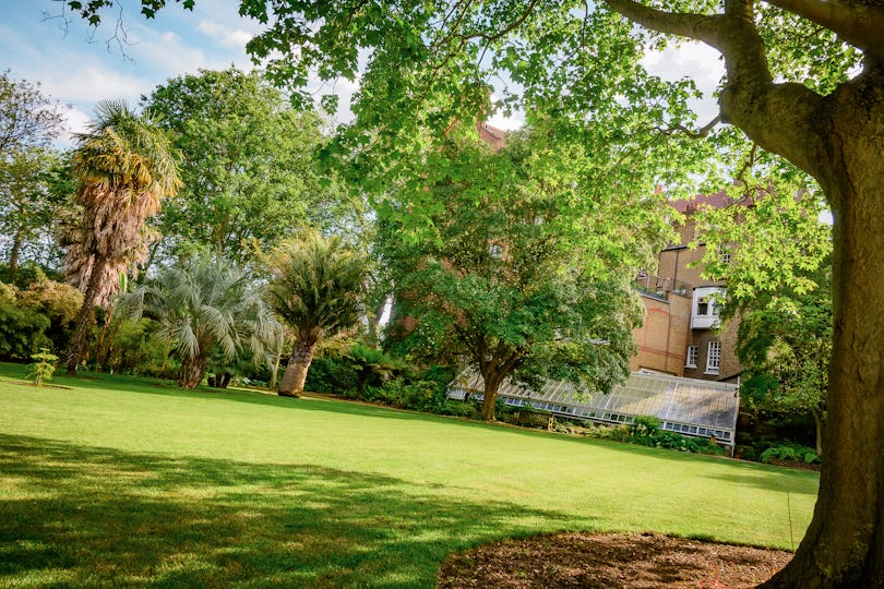 Chelsea Physic Garden
