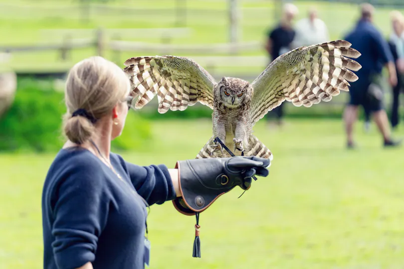 Leeds Castle