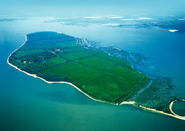 Osea Island