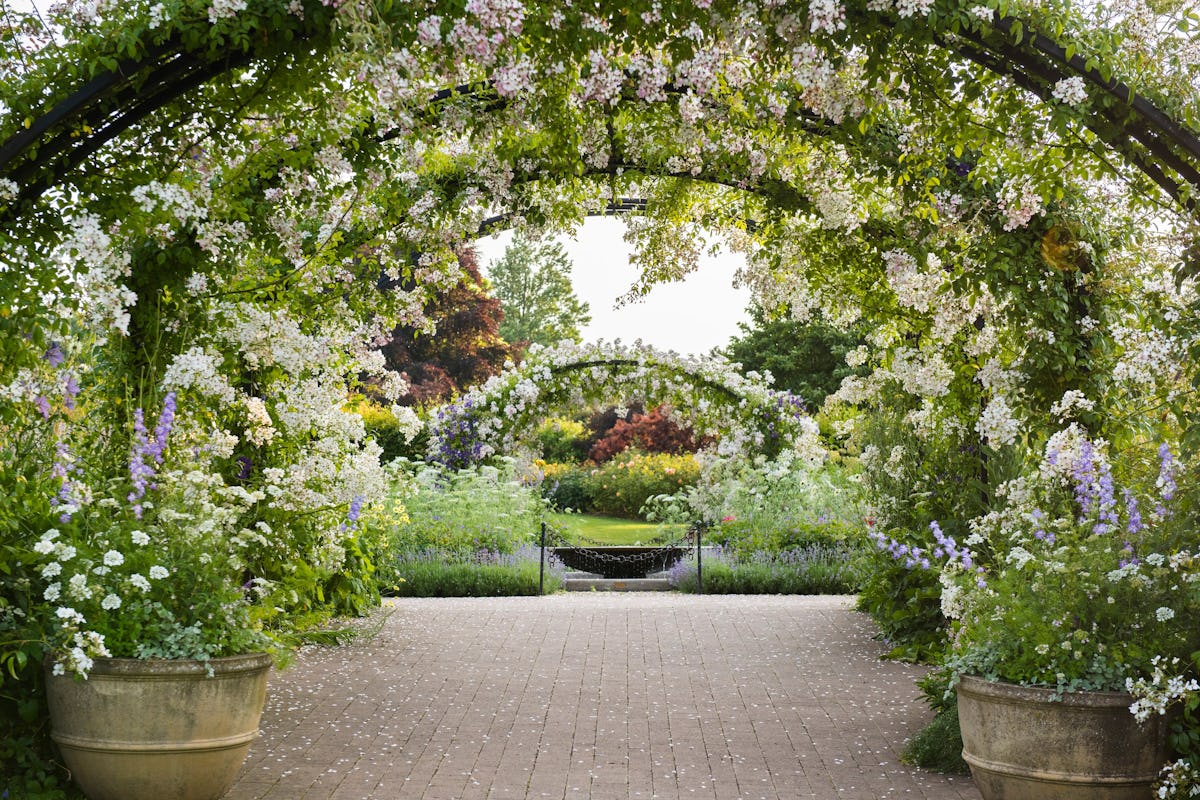 RHS Garden Wisley