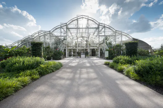 The Glasshouse