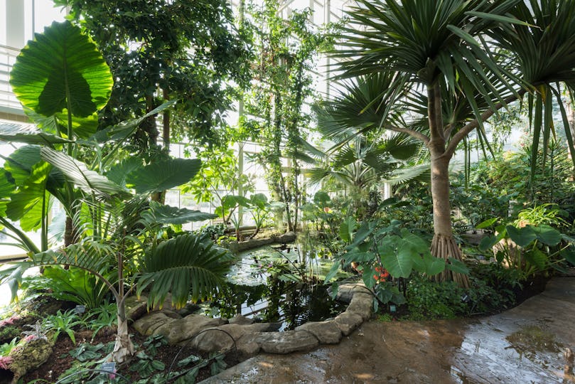 RHS Garden Wisley