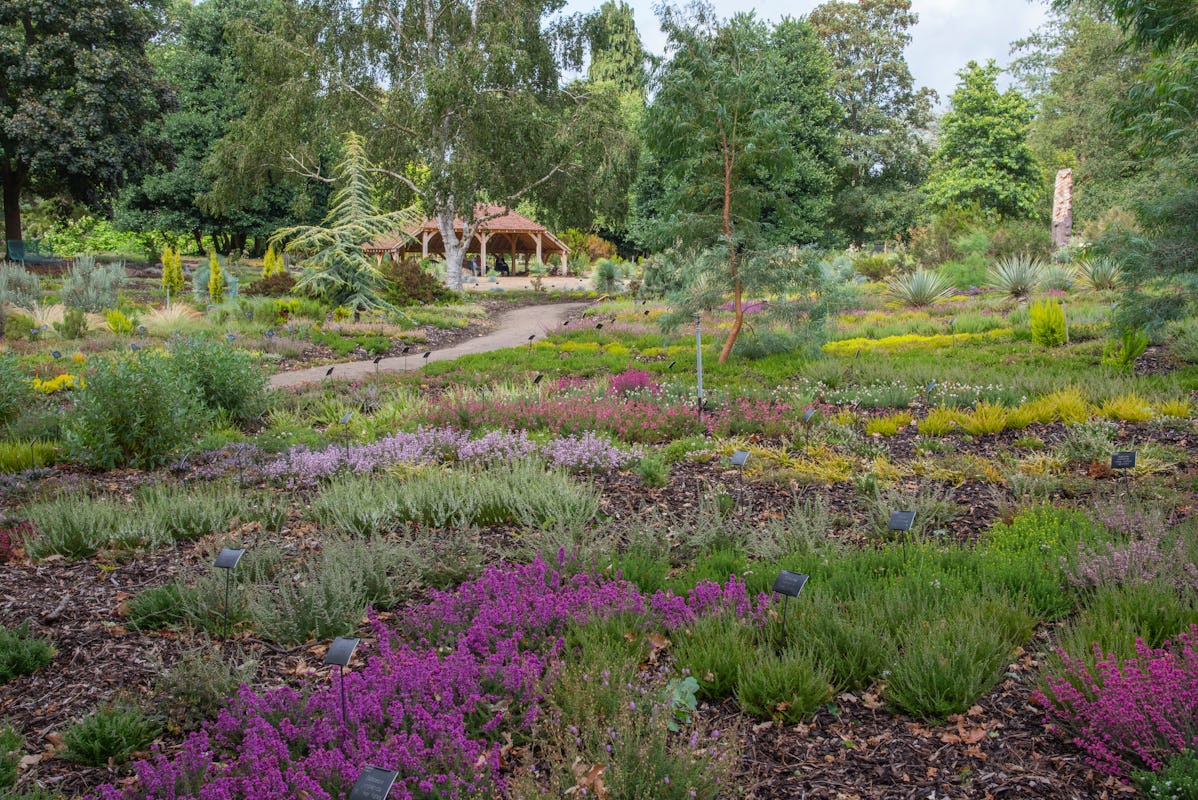 RHS Garden Wisley