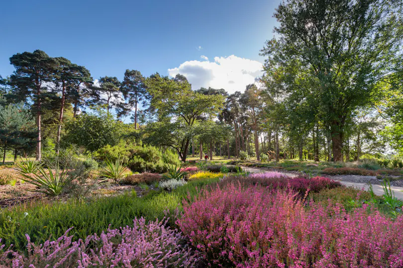 RHS Garden Wisley