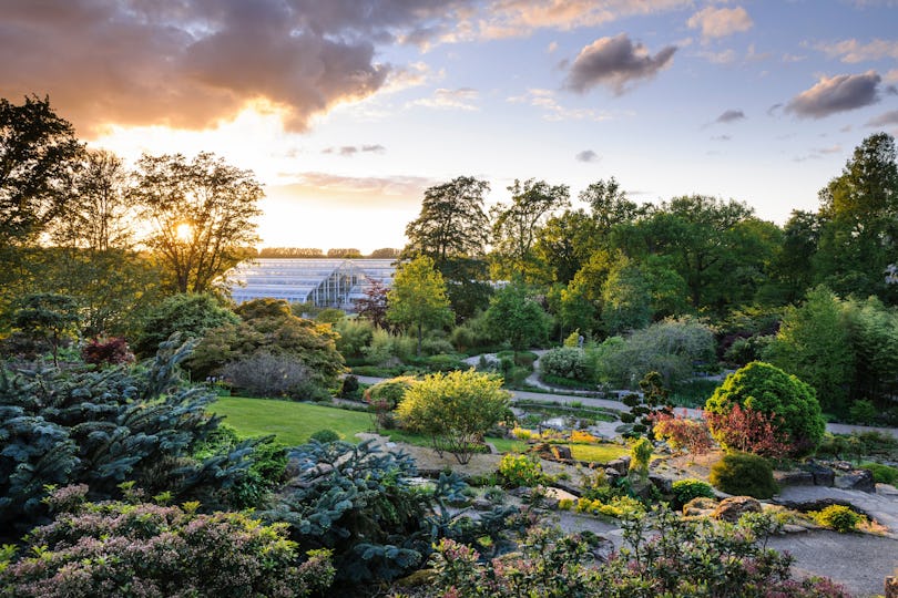 RHS Garden Wisley