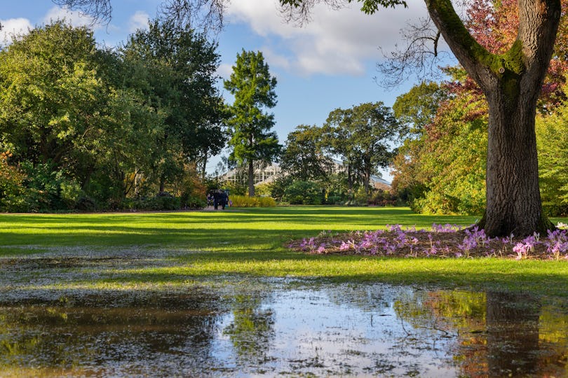 RHS Garden Wisley