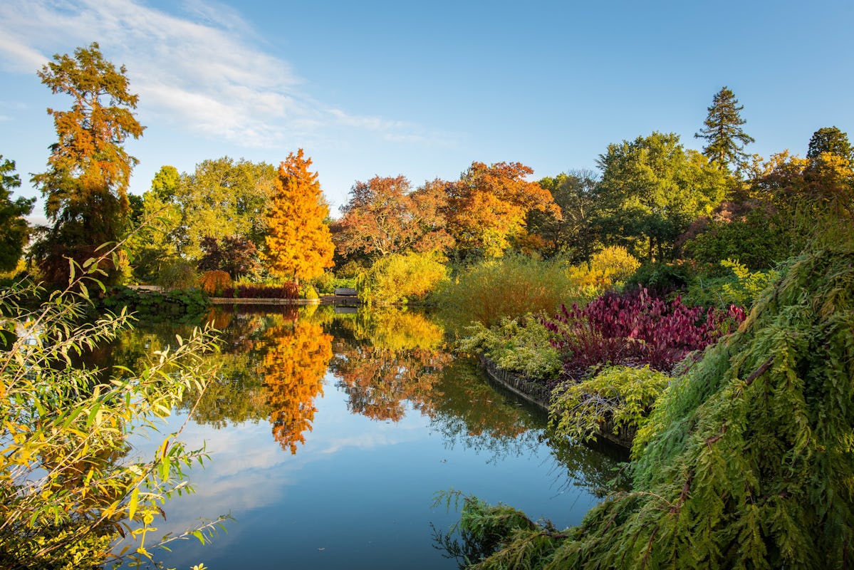 RHS Garden Wisley