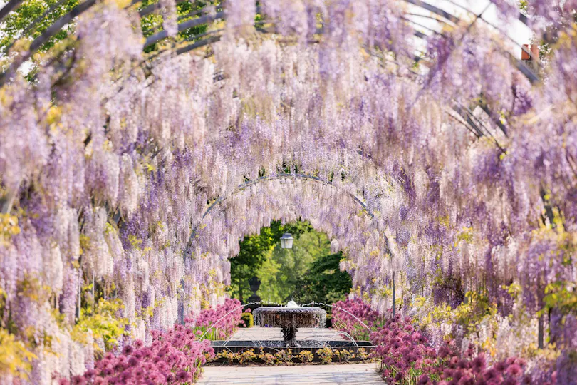 RHS Garden Wisley
