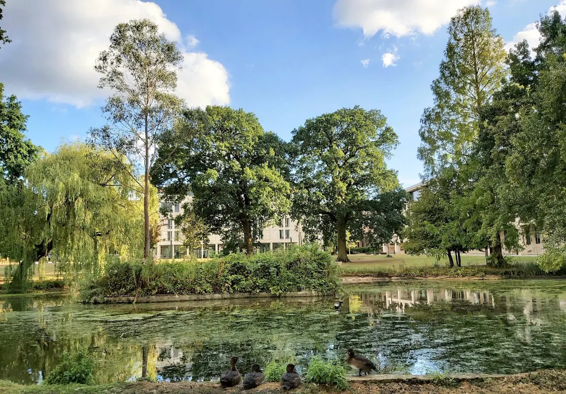 Roehampton Venues