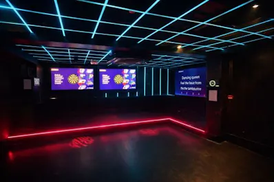 Zebrano Soho