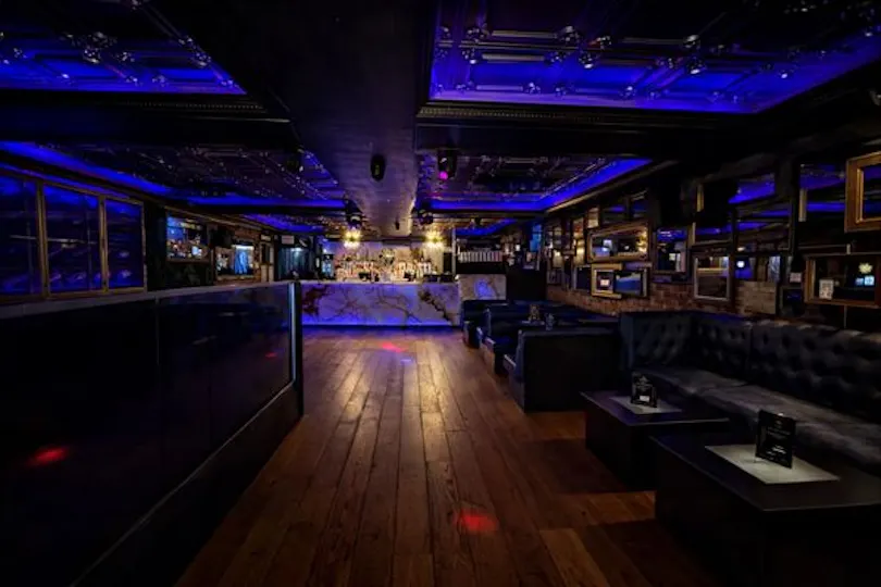 Zebrano Soho