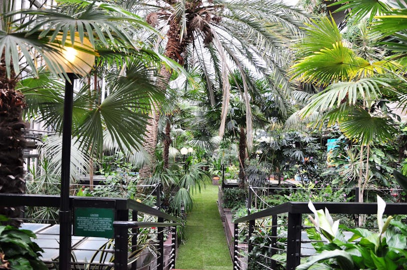 The Conservatory & Garden Room at The Barbican