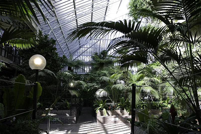 The Conservatory & Garden Room