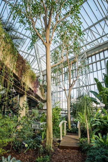 The Conservatory & Garden Room at The Barbican