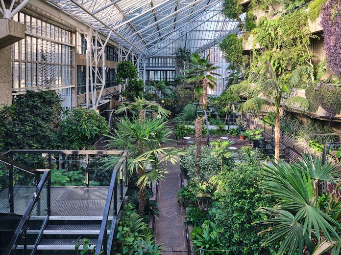 The Conservatory & Garden Room at The Barbican