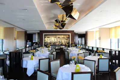 Galvin at Windows