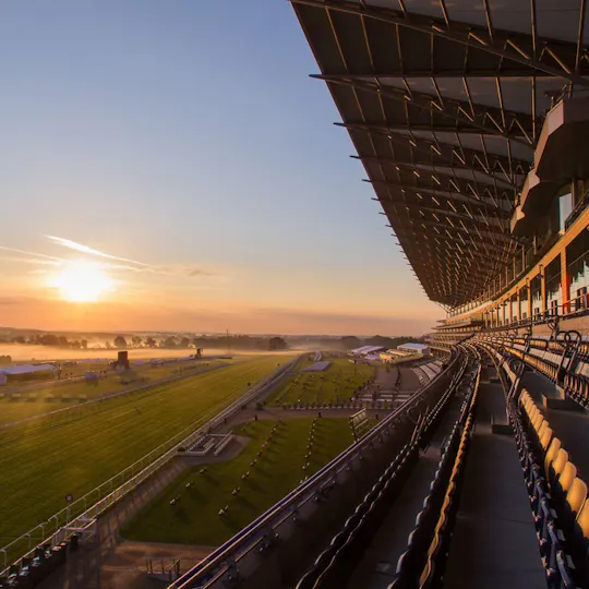Large Banquets at Ascot Racecourse