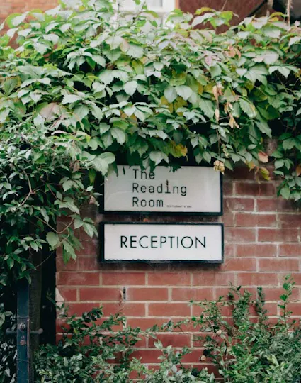 The Roseate Reading