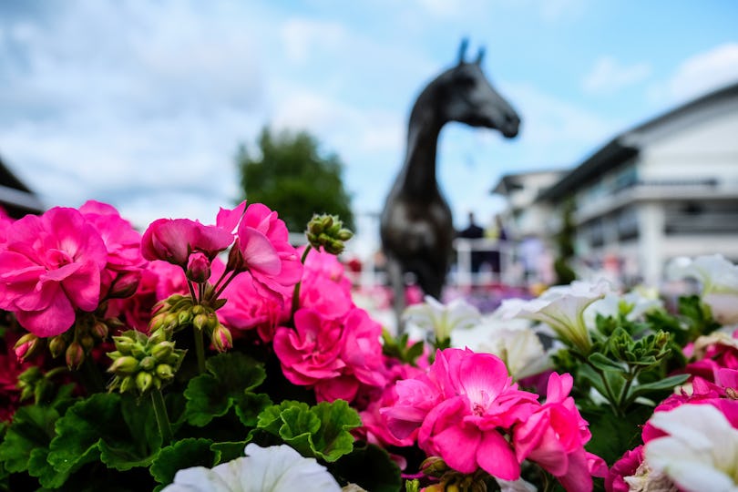 Epsom Downs Racecourse