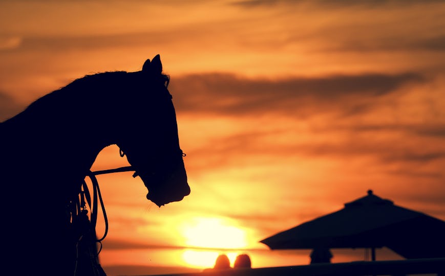 Epsom Downs Racecourse