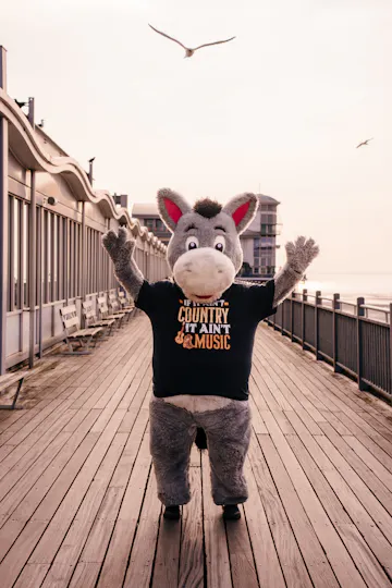 The Grand Pier
