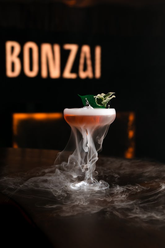 Bonzai London