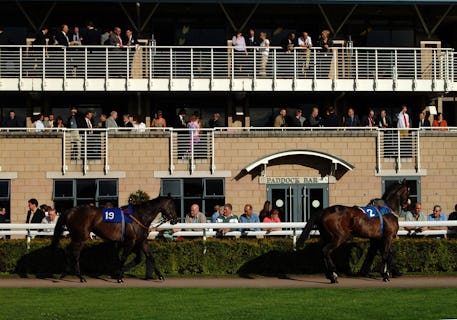 Warwick Racecourse