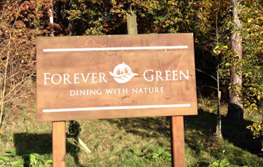 Forever Green