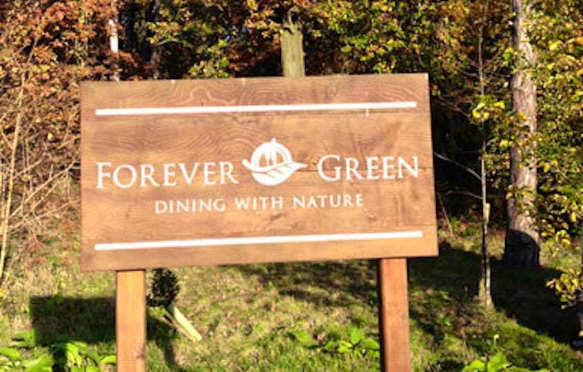 Forever Green