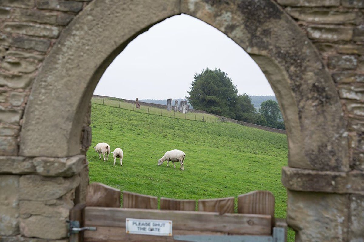 The Wilderness Centre