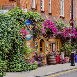 Sarastro