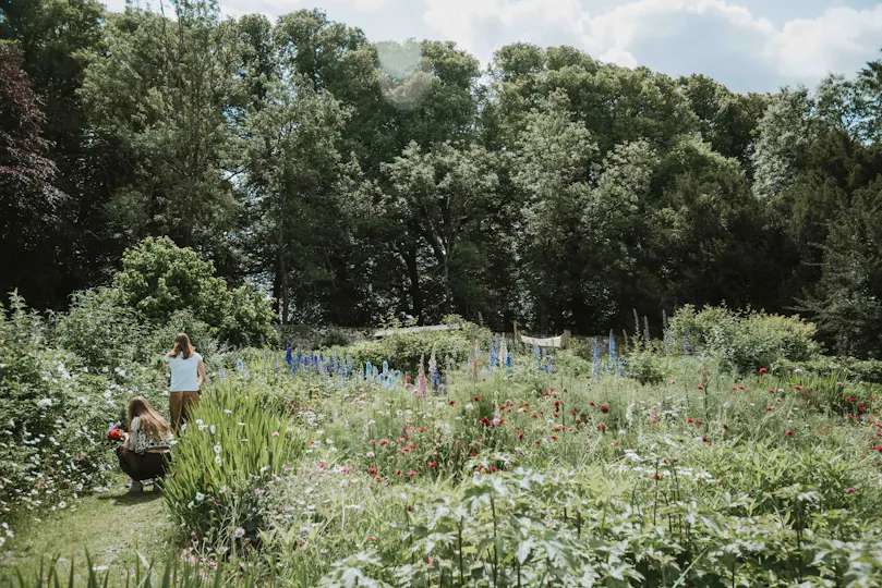 Pythouse Kitchen Garden