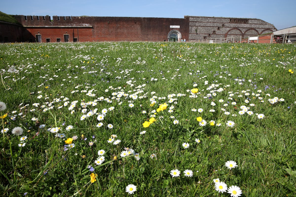 Royal Armouries: Fort Nelson