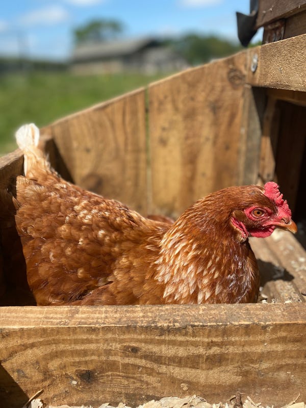 Gambledown Farm