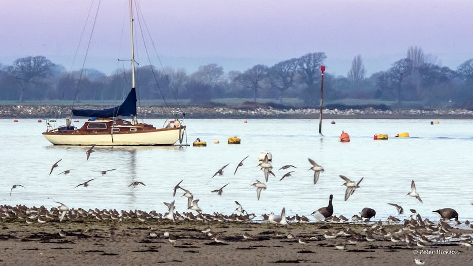 Hayling Island Sailing Club
