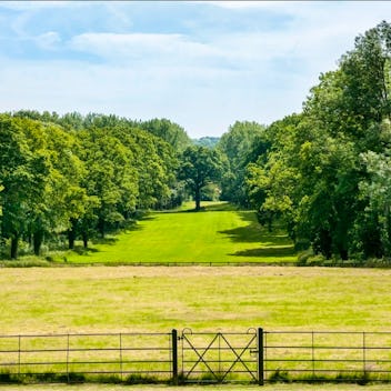 The Summer Lawns