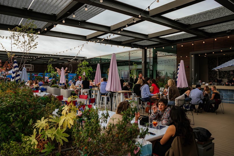 Skylark Roof Garden at Huckster